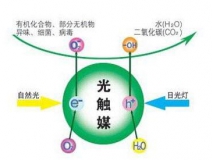 光觸媒產品哪個品牌比較好