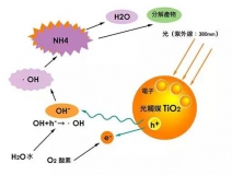 杭州除甲醛的優效方法有哪些？