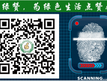 萬萬沒想到！床品上也會有甲醛污染